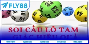 Bí quyết nuôi lô để soi cầu lô tam giác hiệu quả